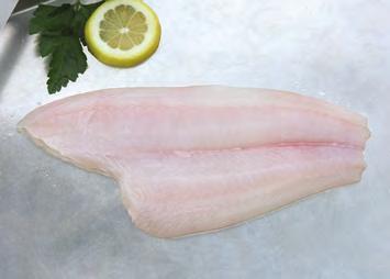 Petrale Sole PETRALE SOLE Eopsetta jordani MARKET NAMES: flounder, California sole, brill, petral Petrale sole is found from northern Baja California to the Bering Sea, Aleutian Islands and Gulf of