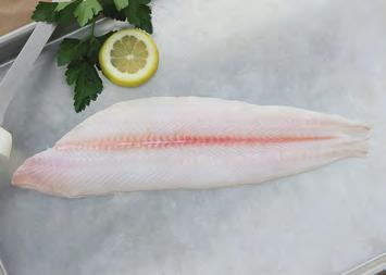 Dover Sole DOVER SOLE Microstomus pacificus MARKET NAMES: slime sole, slippery sole Dover sole is found from Baja California to the Bering Sea and eastern Aleutian Islands.