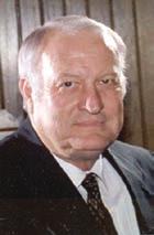 Riggs served as a member of the Oklahoma House of Representatives from 1971 to 1987 and served in the Oklahoma Senate from 1987 to 1988.