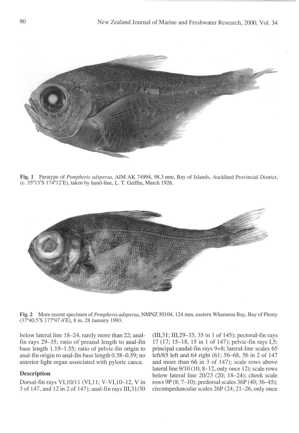 90 New Zealand Journal of Marine and Freshwater Research, 2000, Vol. 34 Fig. 1 Paratype of Pempheris adspersa, AIM AK 74994, 98.3 mm, Bay of Islands, Auckland Provincial District, (c.