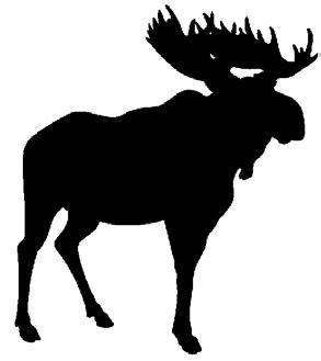 ... 58 VISITOR INFO, USEFUL WEBSITES, ETC...60 Moose can be found throughout northeastern Colorado! Know your target!