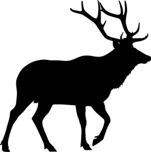 The fine for illegally killing & abandoning a moose starts at $1,370. Take care not to mistake a moose for an elk.