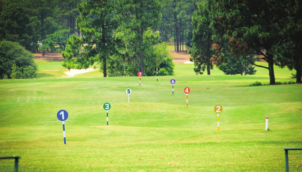 LONGLEAF TEE SYSTEM GETTING PLAYERS STARTED Forget word or color associations for tees The Longleaf Tee System is simple and practical, yet very profound.