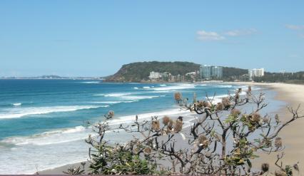 4. Burleigh Heads Excellent surf conditions International surfing competition venue Beachside cafes and shops Children