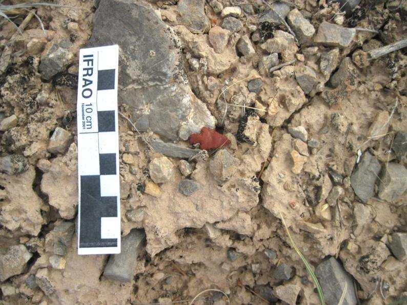 Projectile point found on the