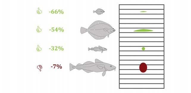 Policy Department B: Structural and Cohesion Policies Figure 3.3.2. FRESWIND gear: Mean catch reduction by species and size obtained during the commercial fishing sea trials.
