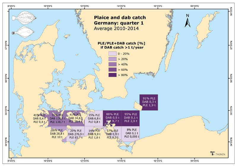Options of handling choke species in the view of the EU landing obligation the Baltic plaice example Annex III.4.5: Average plaice to dab catch proportions of the German fishing fleet.