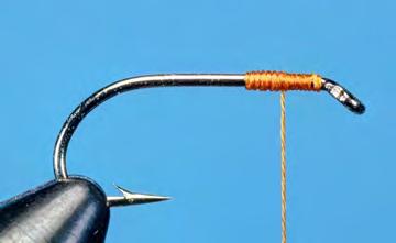 Partridge & Orange Wet Fly Hook: Wet fly, #12 Thread: Hot
