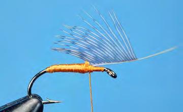 Tie in the hackle feather by its tip with bare stem laying