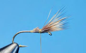 BWO Sparkle Dun Dry Fly Hook: Dry fly, #12 Thread: Olive 6/0 (140 denier) Wing: Deer