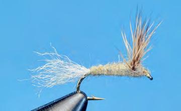 Spin dubbing on thread and dub a thin, smooth, tapered abdomen up to the wing.