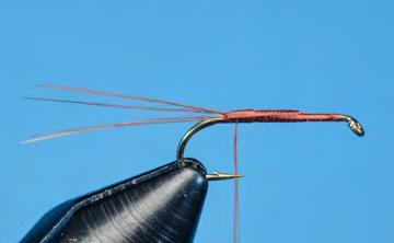 Rusty Spinner Dry Fly Hook: Dry fly, #14 Thread: Rusty brown 8/0 (70 denier) Tail: