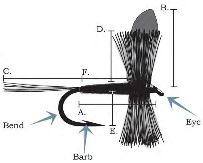 Proportions of Dry Flies EC 05 A: Hook shank length B: Wing length = A = hook shank C: Tail length = A = hook