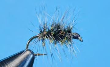 Wrap the hackle forward in an open spiral to just behind the hook eye.
