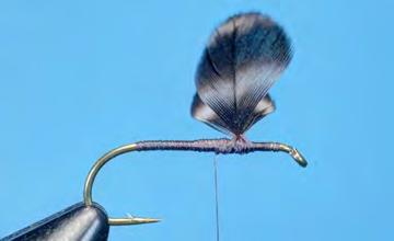 Adams Dry Fly Hook: Dry fly, #12 Thread: Gray, 6/0 (140 denier) Wings: Grizzly hen
