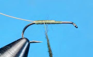 Elk Hair Caddis Dry Fly Hook: Dry fly, #12 Thread: 6/0 (140 denier), color to match natural