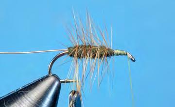 Tie in hackle stem with its shiny side facing the hook eye.