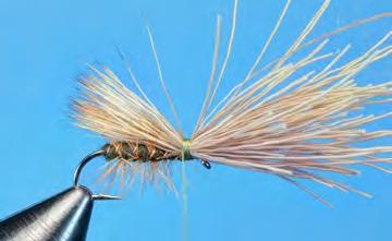 point and barb. Maintain pressure on the hackle stem.