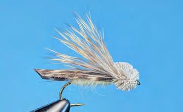 Tie in the wing forward of the abdomen, length to hook bend.