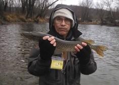 FRENCH CREEK Flowing through all four counties Angler Al (Franklin) November 25: The Full Moon Phase finally fired up the walleye bite.