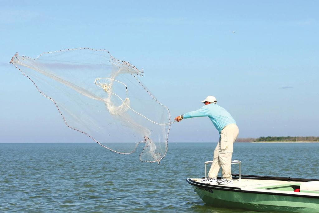 In Focus Nothing But Net Perfectly leading a bonefish with a 30-foot roll cast is impressive.