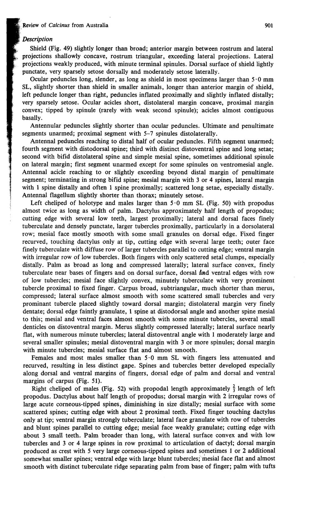 Review of Calcinus from Australia 901 Description Shield (Fig.