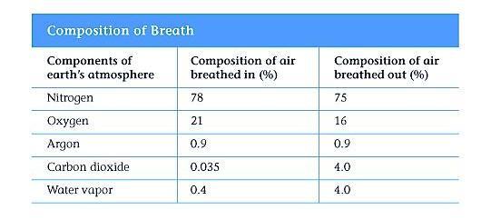 PART A: SCIENTIFIC QUESTION: How can we test for carbon dioxide in your exhaled breath? PROCEDURE: 1. Follow procedure for Part A on page B-39. 2. Record data in Data Table 1. 3.