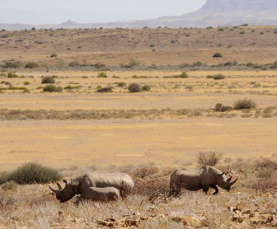 6 7 Namibia is a conservation success story: Conservation highlights: 1.