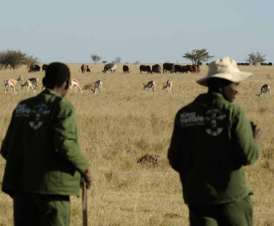 8 9 Namibia offers real solutions for wildlife outside parks: Don t confuse farmland with national parks!