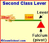 2nd Class Lever Effort and