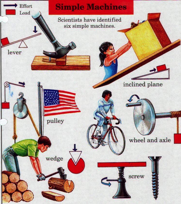 Overview of the 6 Simple Machines 1. 2. 3. 4. 5. 6. Lever Pulley Wheel & Axle Inclined Plane Screw Wedge Match the tool.