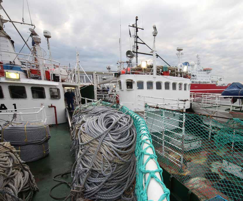 Deep waters The transformation of the R10 billion South African fishing industry has taken another step forward with the listing on the Johannesburg Stock Exchange of two prominent black-owned