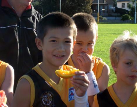 1. AFL Sydney Juniors - Overview AFL has a long and proud history throughout Sydney.