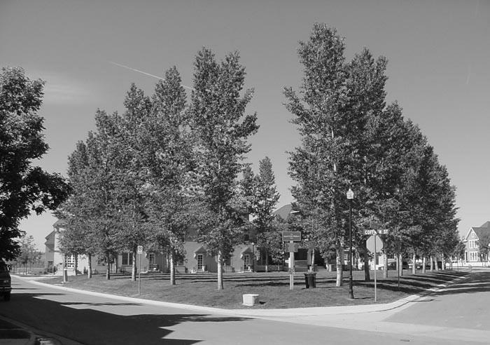 D. Parks Public parks should be incorporated into the future developments within the study area.