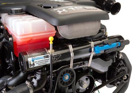 engine suppliers equip new boats with a flush system, not all do.