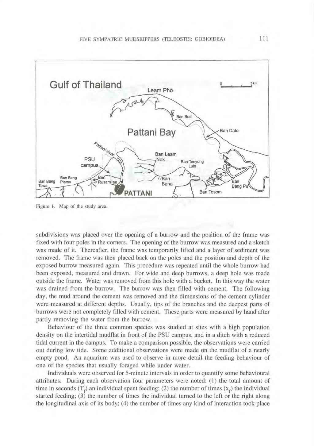 FIVE SYMPATRIC MUDSKIPPERS (TELEOSTEI: GOBIOIDEA) Ill Gulf of Thailand Learn Pho o..._-"==-...13 km PattaniBay Figure I. Map of the study area.