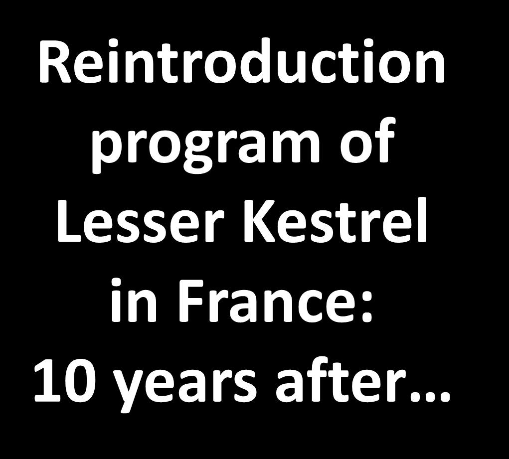 program of Lesser