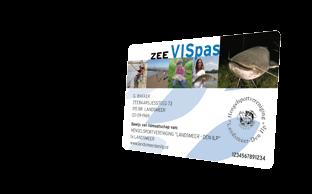 The zeevispas, however, does provide a number of advantages: you become a member of a (sea) fishing club, which allows you to participate in national and international contests and provides exclusive