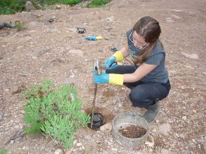 Project Activities Summer Field Work Funds from the Harris Centre were used to hire a field assistant (an undergraduate Biology major as a summer student field research assistant) and to cover