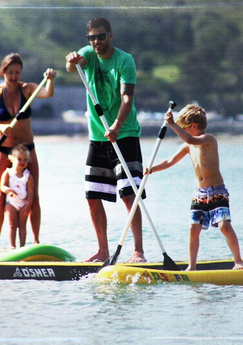 Stand Up PAddle POLYESTER ~ SURFBOARDs