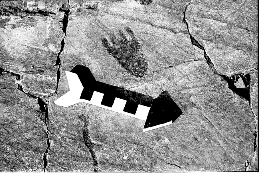 Figure 39. Station 28 where buffalo hoofprints tradition forms are found at Jeffers Petroglyphs. However, they are not shown in this illustration (after Lothson 1976:22).