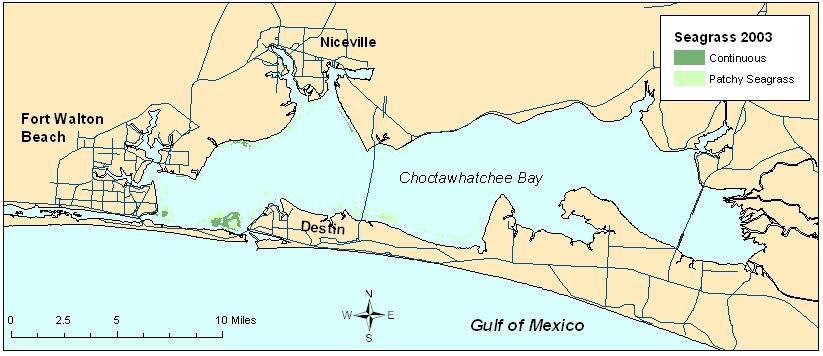 Summary Report for Choctawhatchee Bay In 1992, seagrasses covered 4,261 acres in Choctawhatchee Bay. In 2003, total seagrass cover had decreased to 2,623 acres, a loss of 38%.