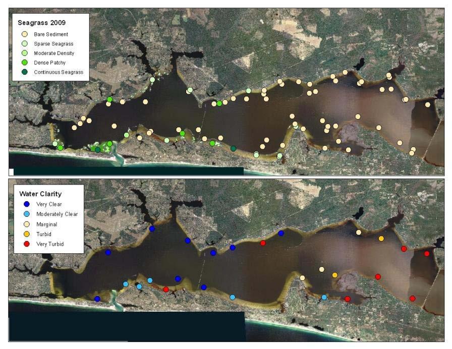 Figure 2. Location of seagrasses and water Clarity in Choctawhatchee Bay, 2009. Summary Report for St Andrew Bay In 2003, seagrasses covered 11,232 acres in St.