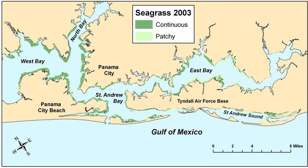 Figure 1. Seagrass Coverage in St. Andrew Bay, 2003.