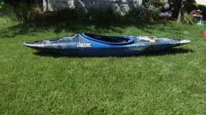 01/21/10 Kayaking Equipment for Sale: Kayaks, Paddles, Sprayskirts, PFDs, straps, etc.