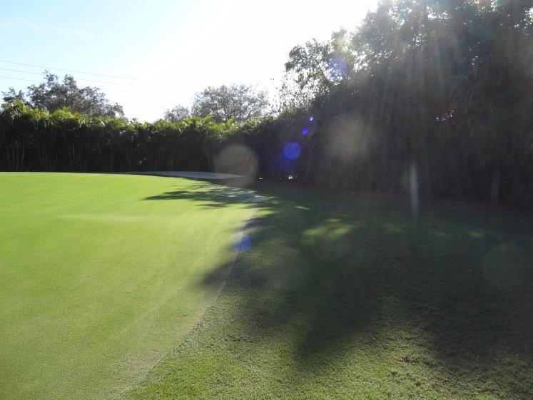 Elevated collars are also referred to as sand dams, as they dam up water that normally flows off of a putting green.