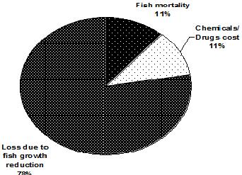 Fig 3: Percentage of economic loss due to parasitic diseases in Indian major carps cultured pond. 4.