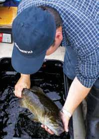 Special Management Areas Special Management Areas have been used to improve angling opportunities for both smallmouth bass and trout.