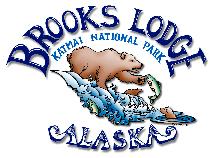 You will have the opportunity to visit the World Famous Brooks Falls where brown bears feed and the friendly National Park Service rangers will answer all of your questions about this incredible park.