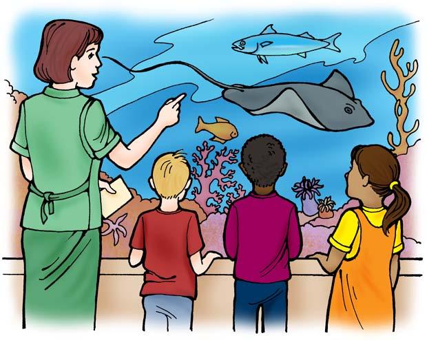 At the Library Explore More Ask your librarian for books about the ocean. There are hundreds of specific ocean subjects you can look up, including sharks, shipwrecks, treasure hunting, and hurricanes.